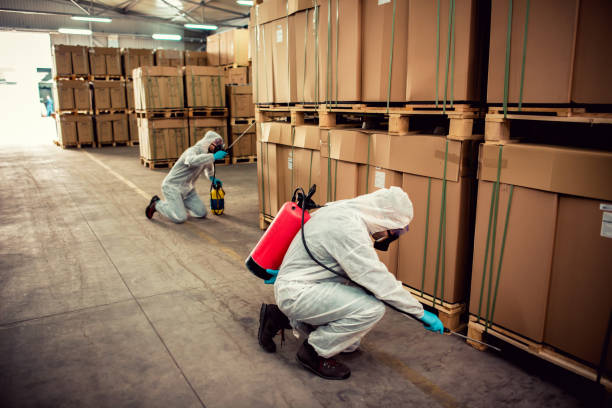 Best Residential Pest Control  in Fort Lauderdale, FL