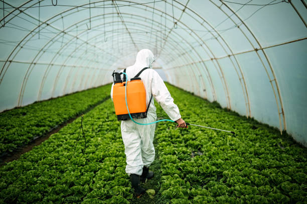 Best Pest Inspection Near Me  in Fort Lauderdale, FL