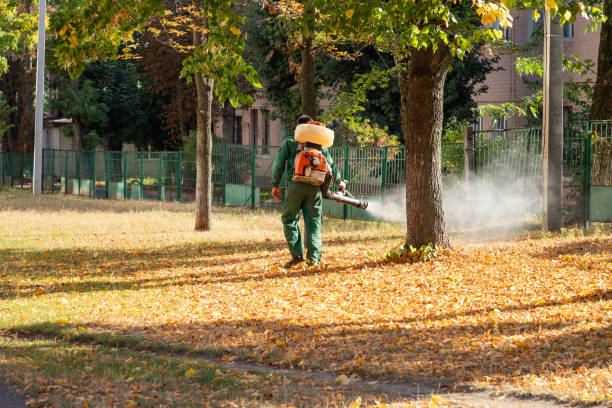 Best Flea Control Services  in Fort Lauderdale, FL