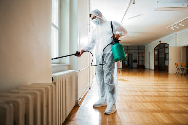 Best Mosquito Control Services  in Fort Lauderdale, FL