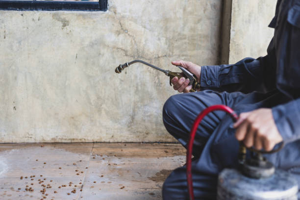 Best Pest Control Near Me  in Fort Lauderdale, FL